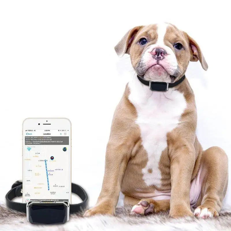 IP67 Waterproof Pet Collar Wifi Light GPS Tracker For Pets Dogs GPS Tracker Kids Personal Locator Anti-Lost Tracking Device
