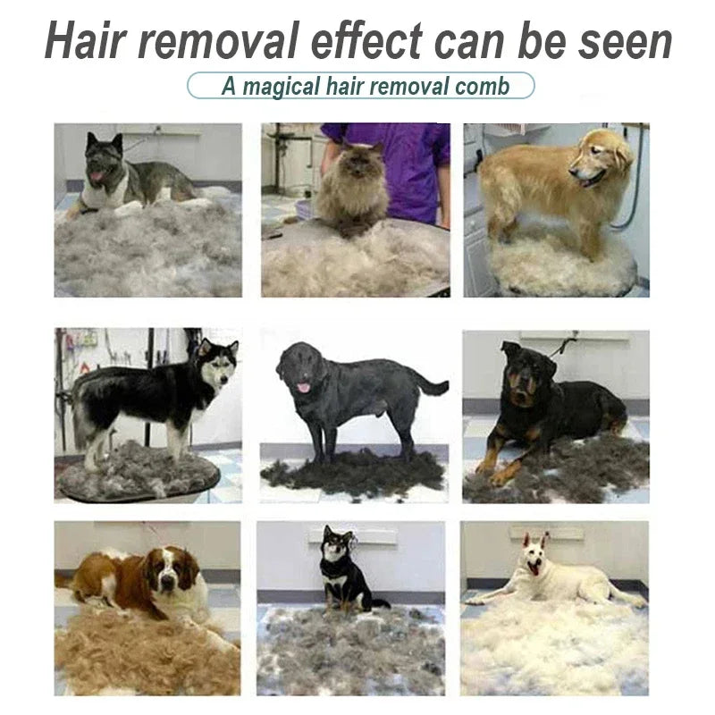 Escova e Pente para Cão e Gato — Removedor de Pelo, Massagem e Grooming