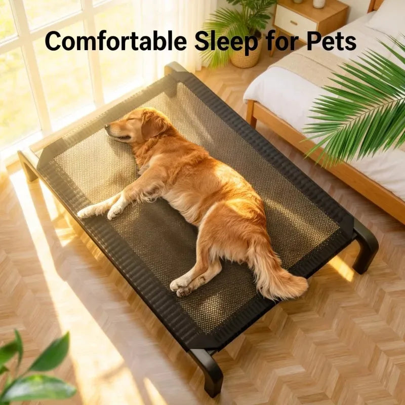 Cama Elevada Dobrável para Cão — Todas as Estações, Interior e Exterior