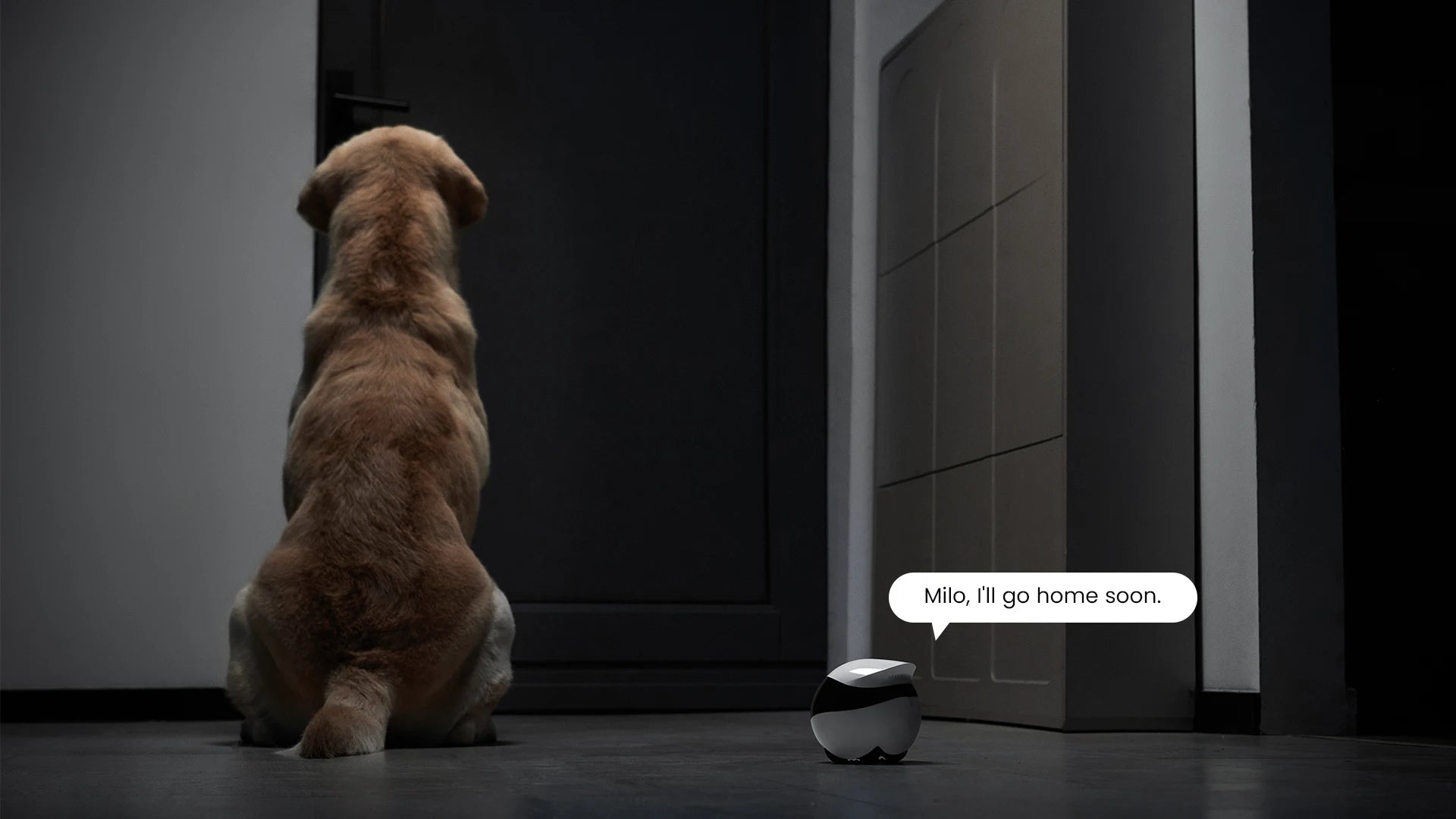 Enabot EBO AIR 2 Companion Robot 2K Home Security Pet Camera Night Vison Wireless APP Remote Control for Dog Cat Baby