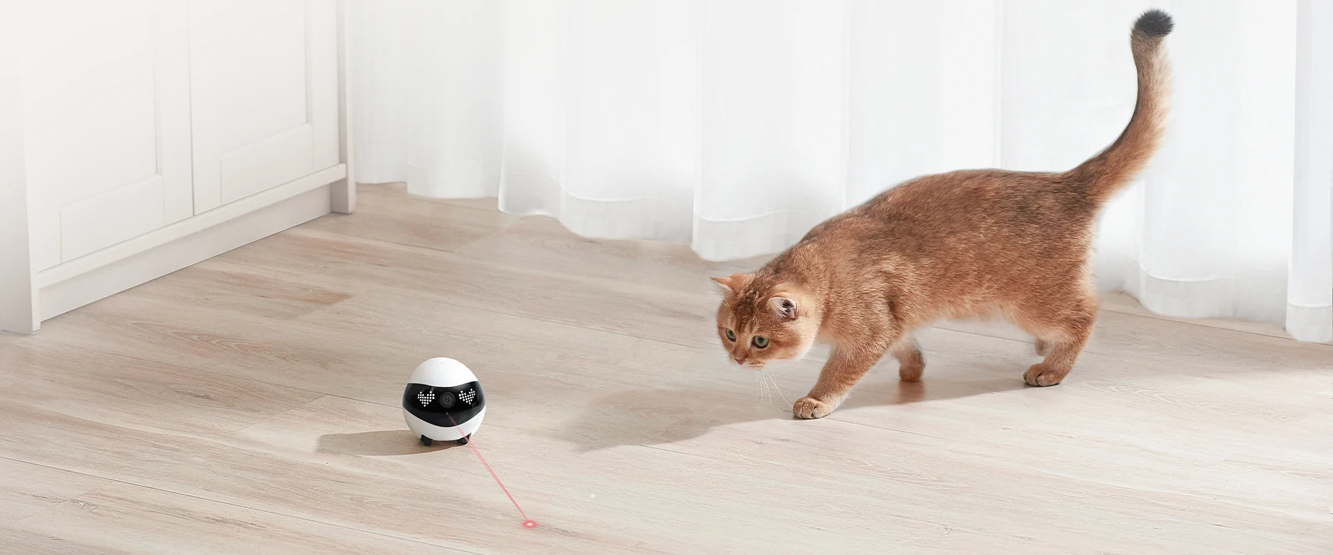 Enabot EBO AIR 2 Companion Robot 2K Home Security Pet Camera Night Vison Wireless APP Remote Control for Dog Cat Baby