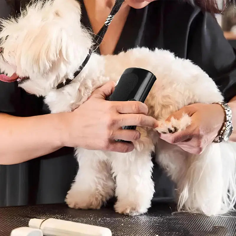 Escova Profissional Removedora de Pelo para Cão e Gato — Ergonómica e Multifuncional