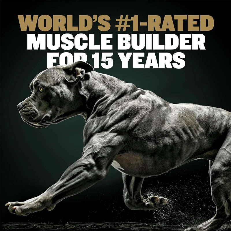 300G BULLY MAX 11 IN 1 MUSCLE GAIN Supplement For Dogs, Enhances Strength Endurance, Boosts Performance Training