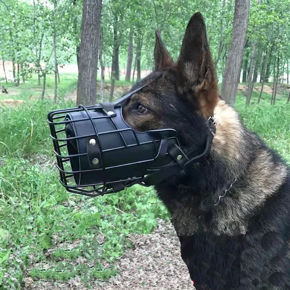 Focinheira Ajustável em Aço Inoxidável para Cão — Respirante e Segura