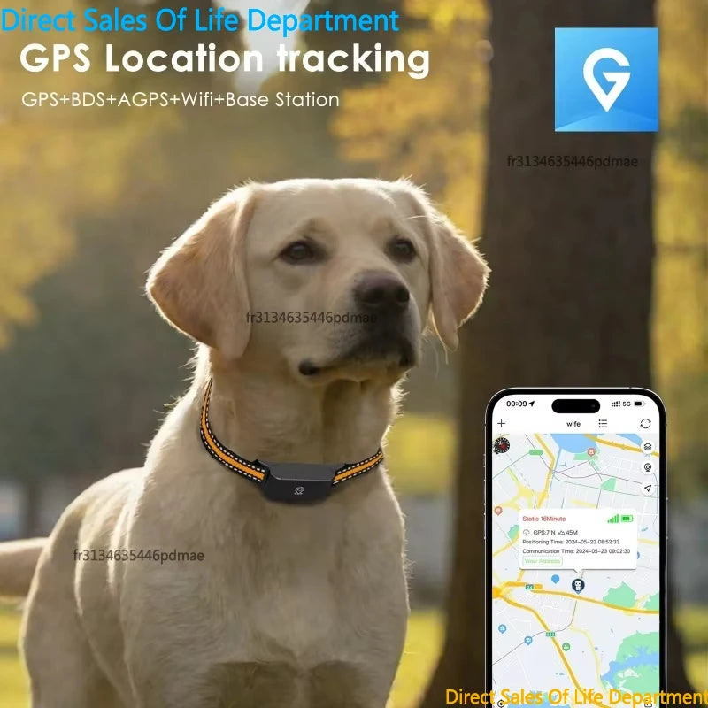 IP67 Waterproof 4G GPS Tracker for Dogs Cats Mini Real Time Anti Lost Pet Locator Smart Collar with App Control