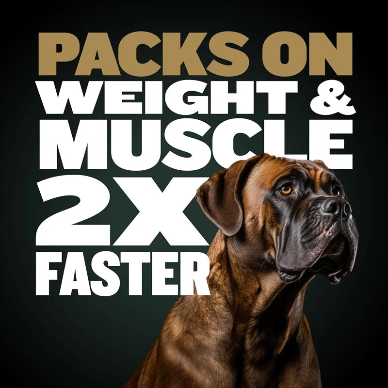 300G BULLY MAX 11 IN 1 MUSCLE GAIN Supplement For Dogs, Enhances Strength Endurance, Boosts Performance Training