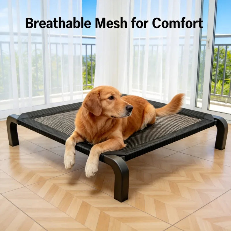 Cama Dobrável para Cão — Todas as Estações | Pequeno e Grande Porte