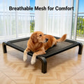 Cama Elevada Dobrável para Cão — Todas as Estações, Interior e Exterior