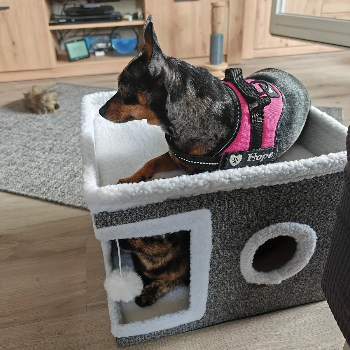 Cama Caverna para Gato com Arranhador — Moderna e Multifuncional