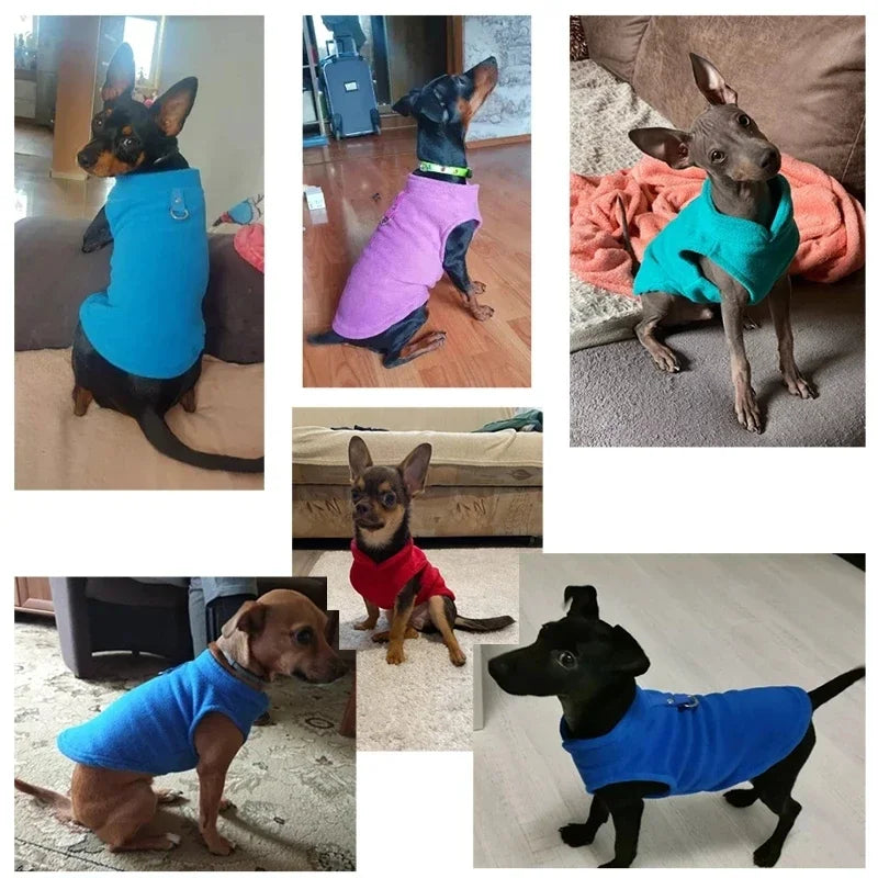 Casaco de Lã para Cão e Gato — Colete com Argola D, para Raças Pequenas