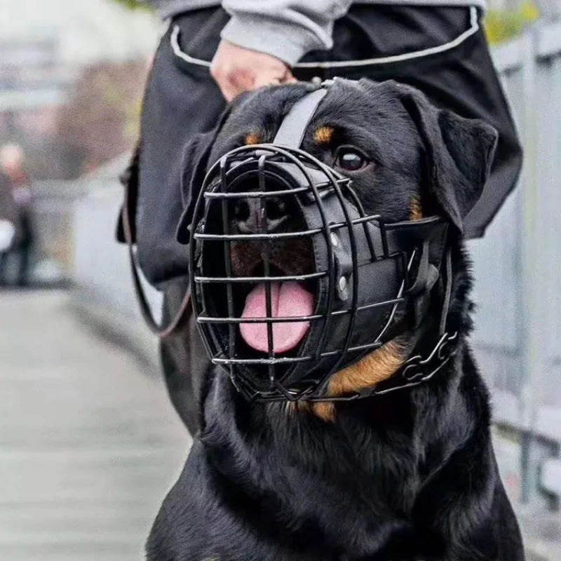 Focinheira Ajustável em Aço Inoxidável para Cão — Respirante e Segura