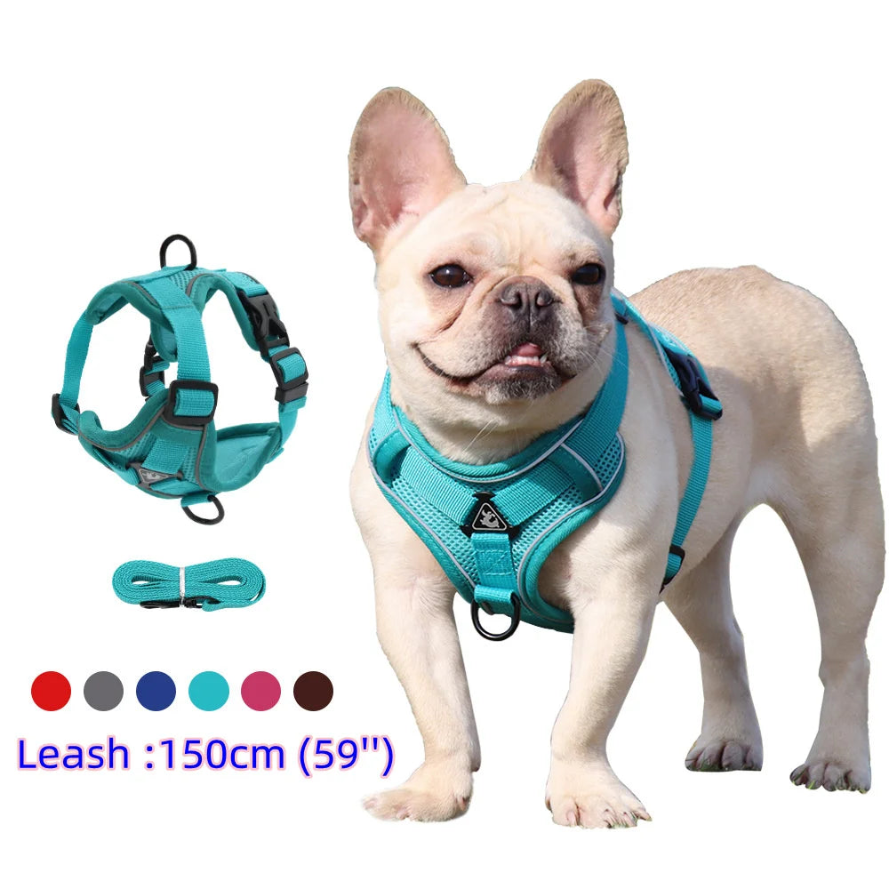 Arnês e Trela para Cão Pequeno — Bulldog Francês, Pug, Pitbull, Chihuahua