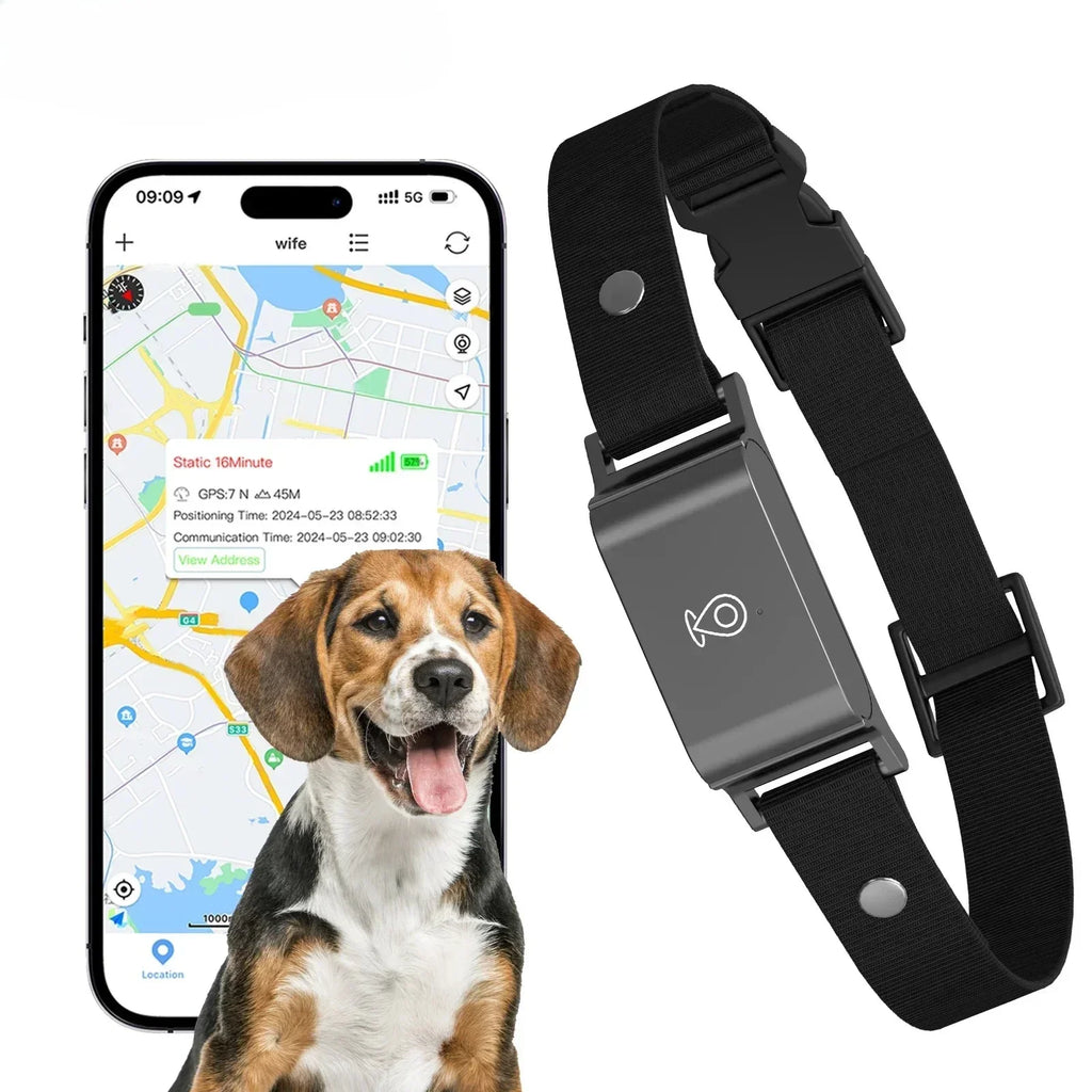 IP67 Waterproof 4G GPS Tracker for Dogs Cats Mini Real Time Anti Lost Pet Locator Smart Collar with App Control