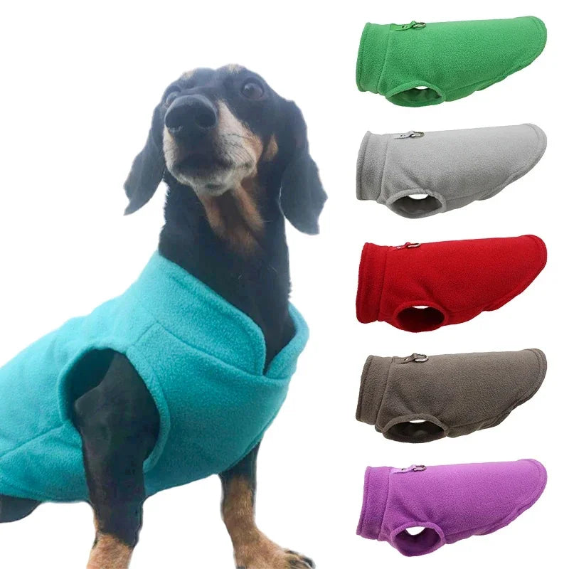 Casaco de Lã para Cão e Gato — Colete com Argola D, para Raças Pequenas