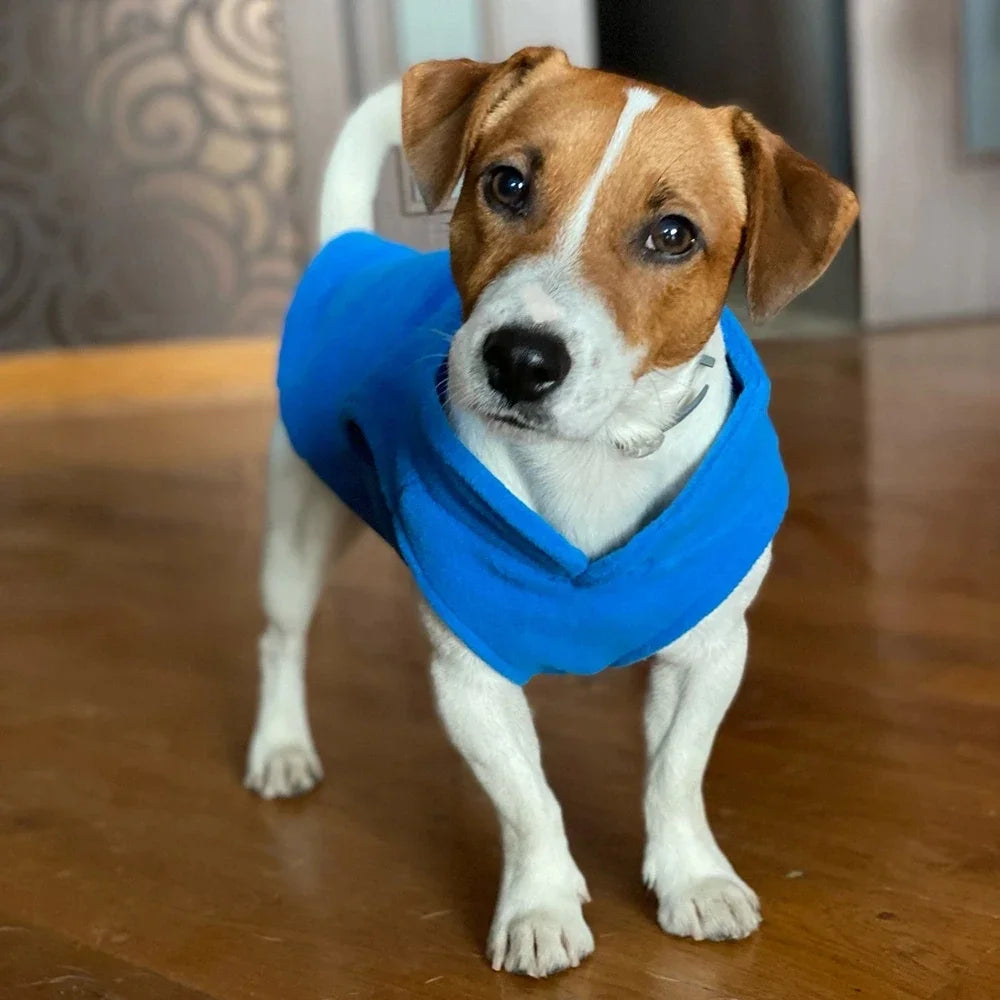 Casaco de Lã para Cão e Gato — Colete com Argola D, para Raças Pequenas